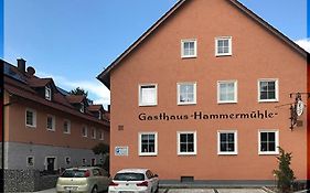 Landgasthof-Hotel Hammermühle